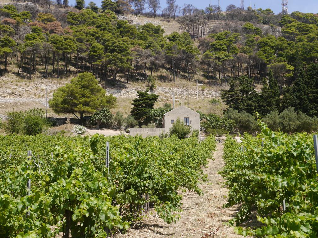 منزل الضيف Casa Nel Vigneto إريس المظهر الخارجي الصورة